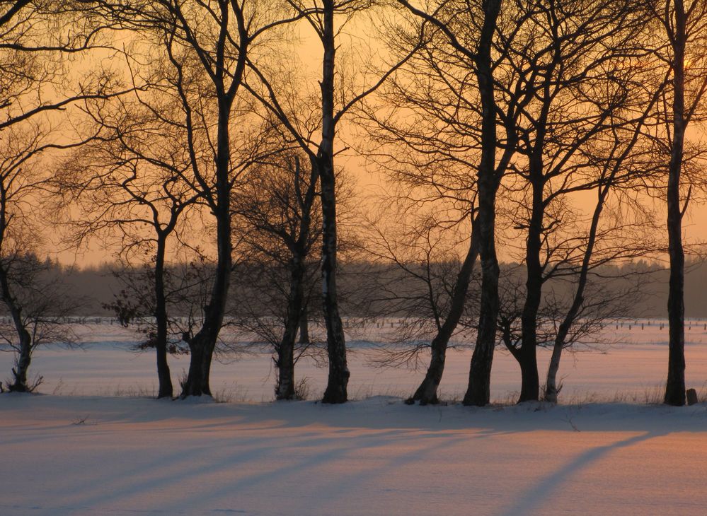 Winterliche Abendstimmung