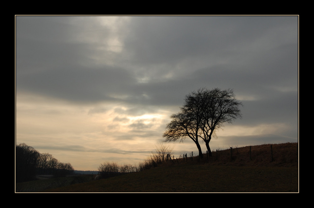 Winterliche Abendstimmung