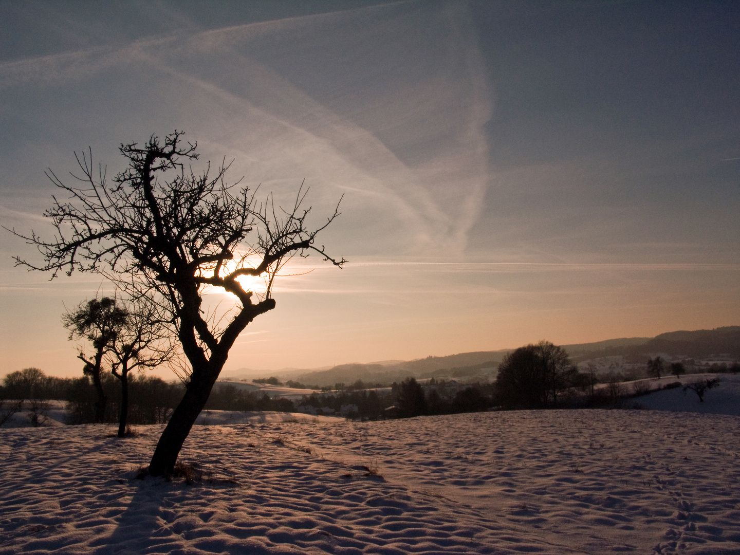 Winterliche Abendstimmung