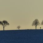 Winterliche Abendstimmung mit Wegekreuz