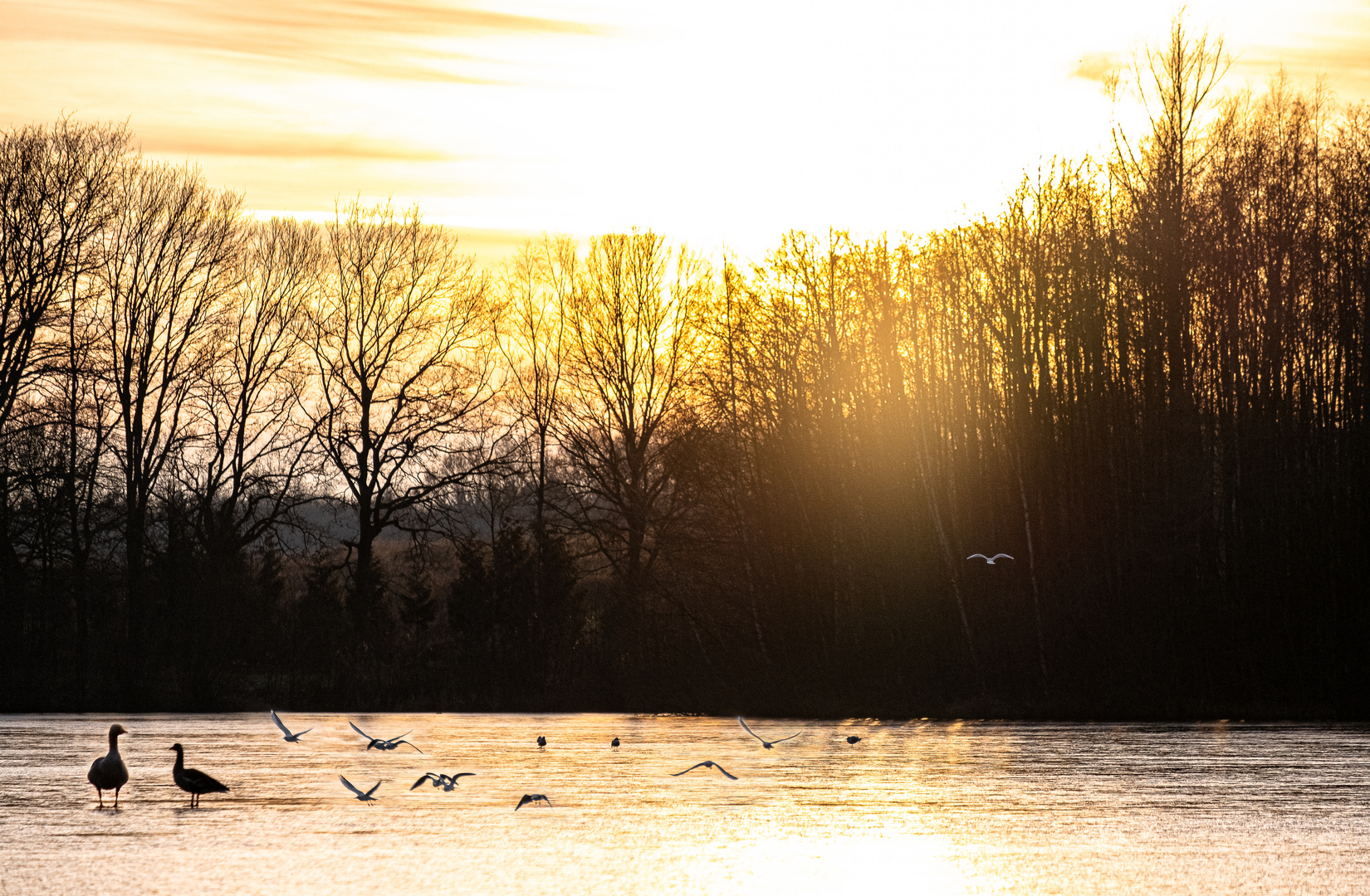 Winterliche Abendstimmung Rubbenbruchsee