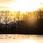 Winterliche Abendstimmung Rubbenbruchsee