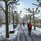 Winterliche Allee