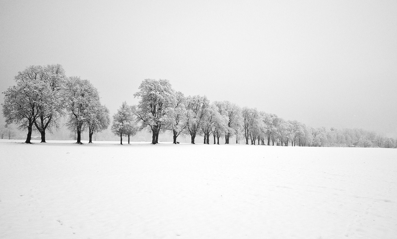 WInterliche Allee