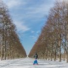 winterliche Allee I  -  Hannover-Herrenhausen