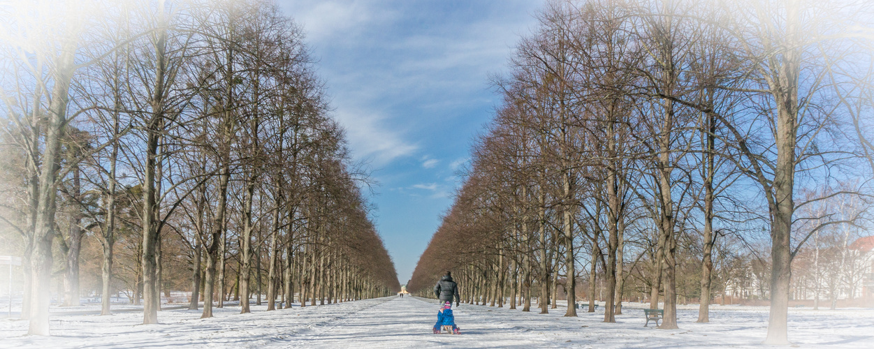 winterliche Allee I  -  Hannover-Herrenhausen