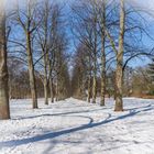 winterliche Allee II - Hannover-Herrenhausen