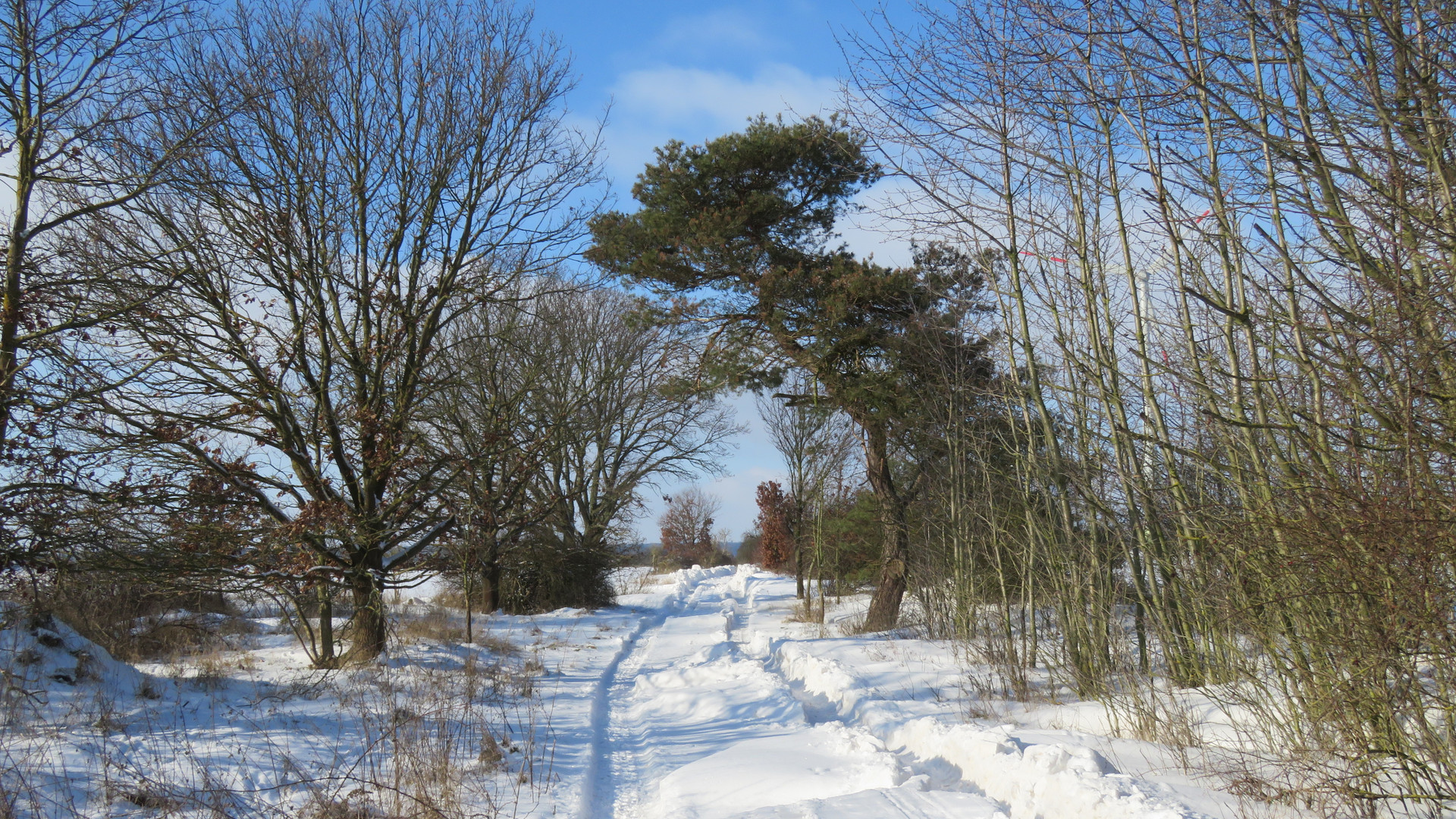 Winterliche Altmark...