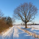 Winterliche Altmark3...