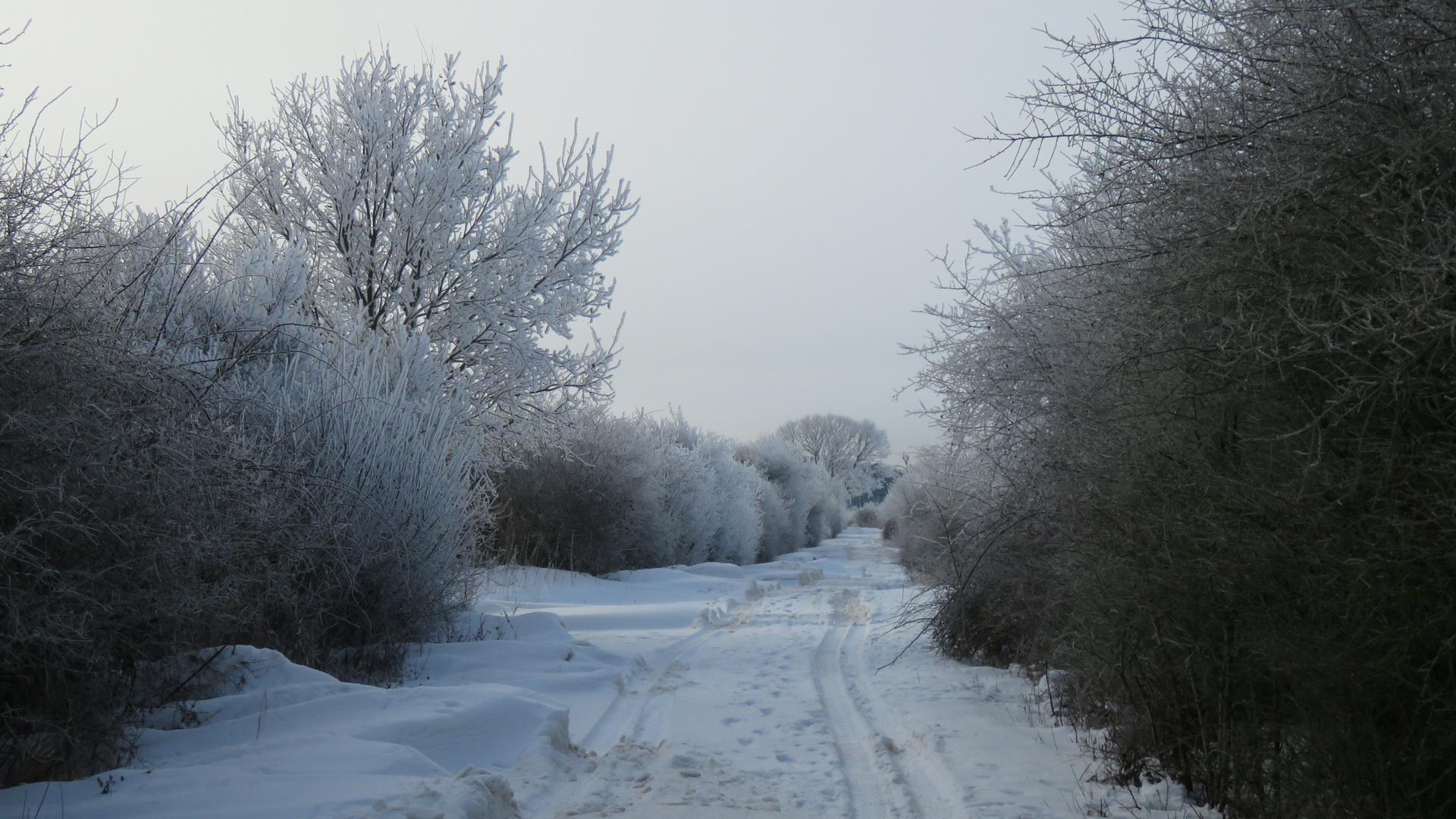 Winterliche Altmark4..