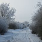 Winterliche Altmark4..
