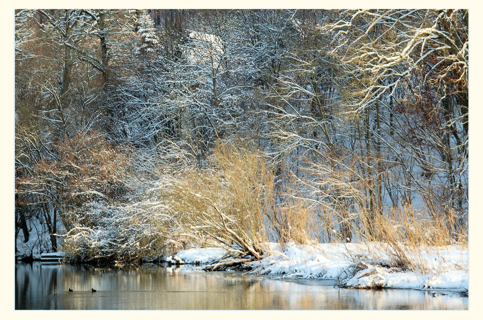 "Winterliche Altmühl"