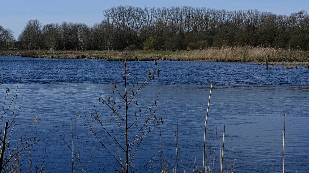 Winterliche Auenlandschaft im NSG 'Am Tibaum' in den Lippeauen