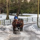Winterliche Ausfahrt auf der Insel Usedom
