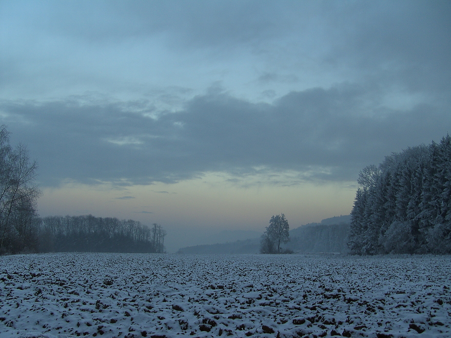 Winterliche ausicht in Singen