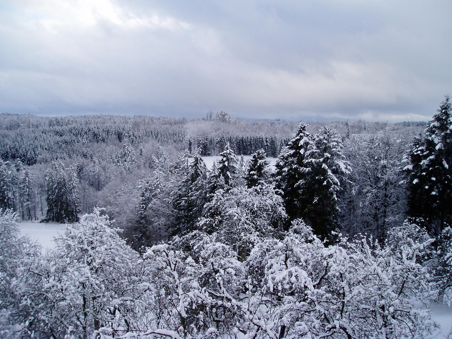 Winterliche Aussicht