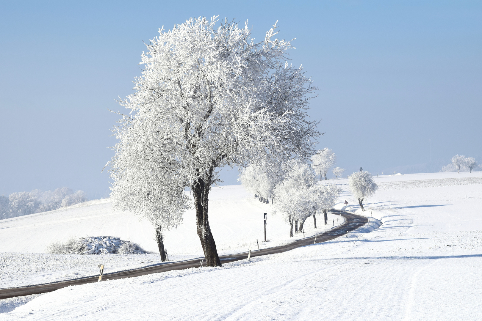 Winterliche Bäume Foto & Bild jahreszeiten, winter, wald und flur
