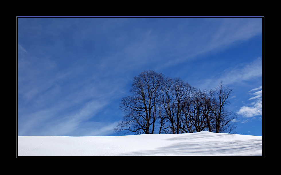 Winterliche Baumgruppe