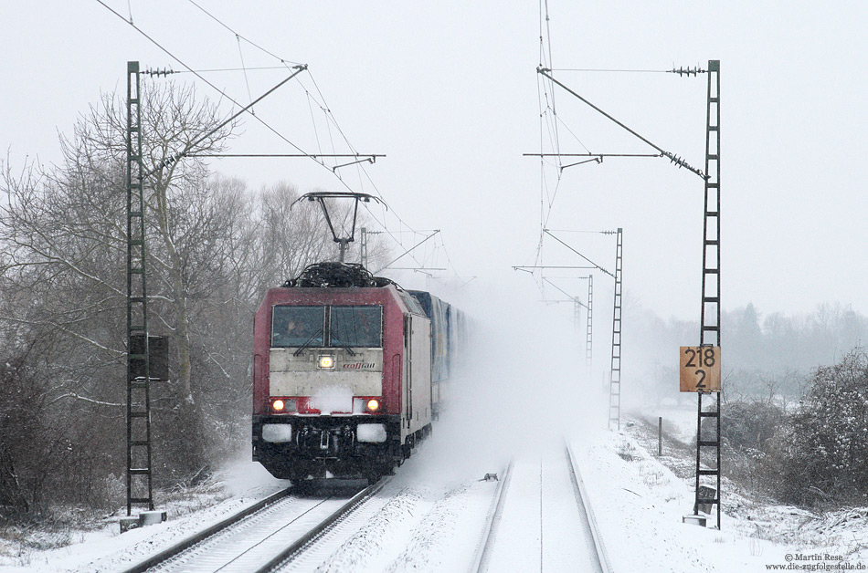 Winterliche Begegnung