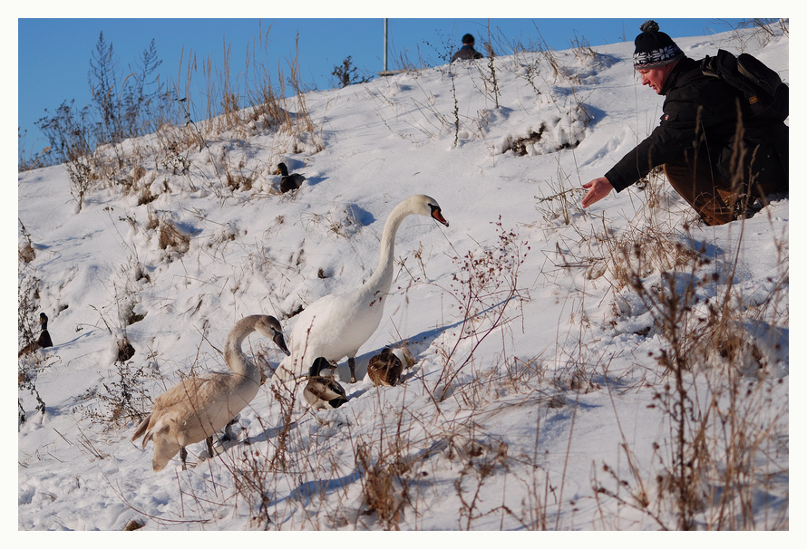 winterliche Begegnungen