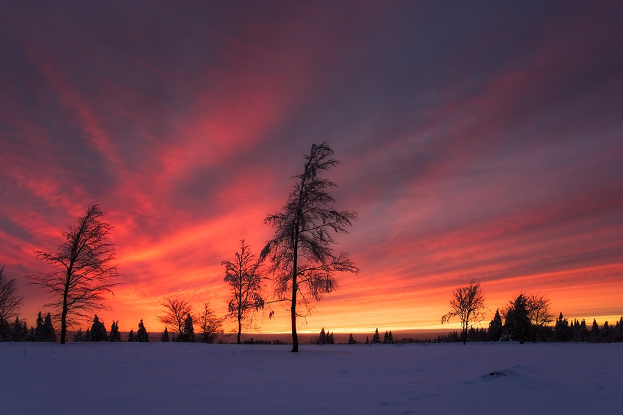 Winterliche Besinnlichkeit