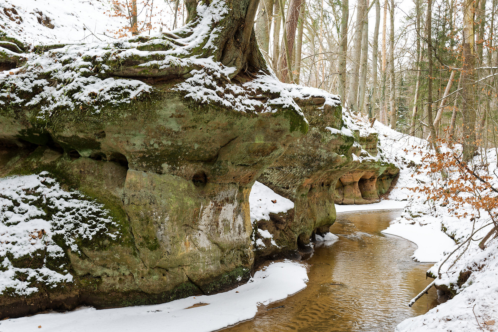 Winterliche Bitterbachschlucht..