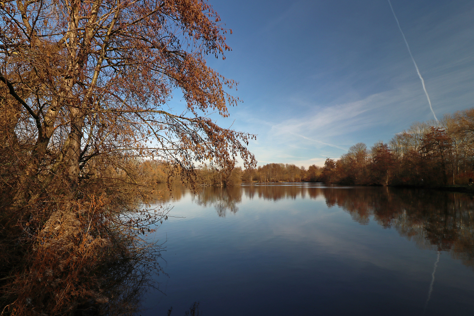 Winterliche Bläue