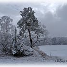 Winterliche blaue Stunde