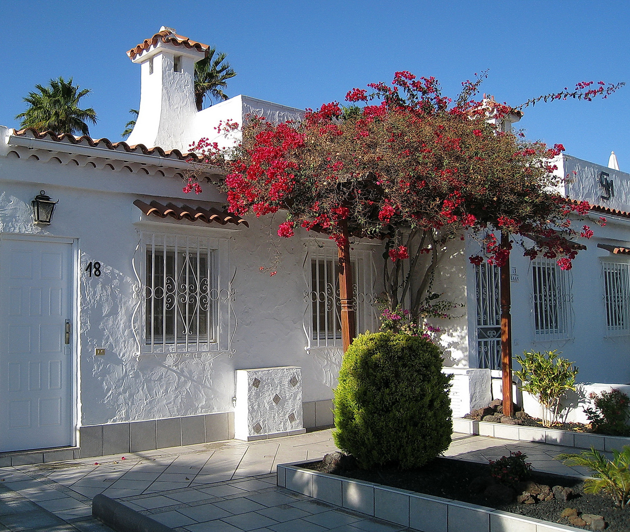 Winterliche Blütenpracht im Vorgarten eines Ferienhauses auf Gran Canaria ...