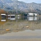 Winterliche Bootshäuser am Schliersee