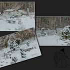 Winterliche Collage ...