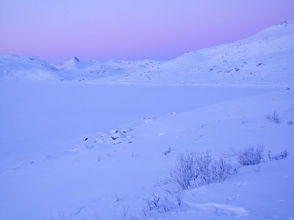 Winterliche Dämmerung - Tyinsee in Pastelltönen