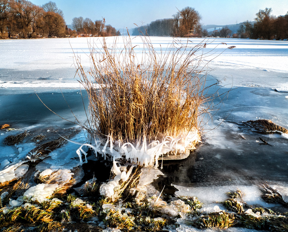 Winterliche Donauimpression