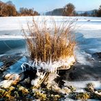 Winterliche Donauimpression
