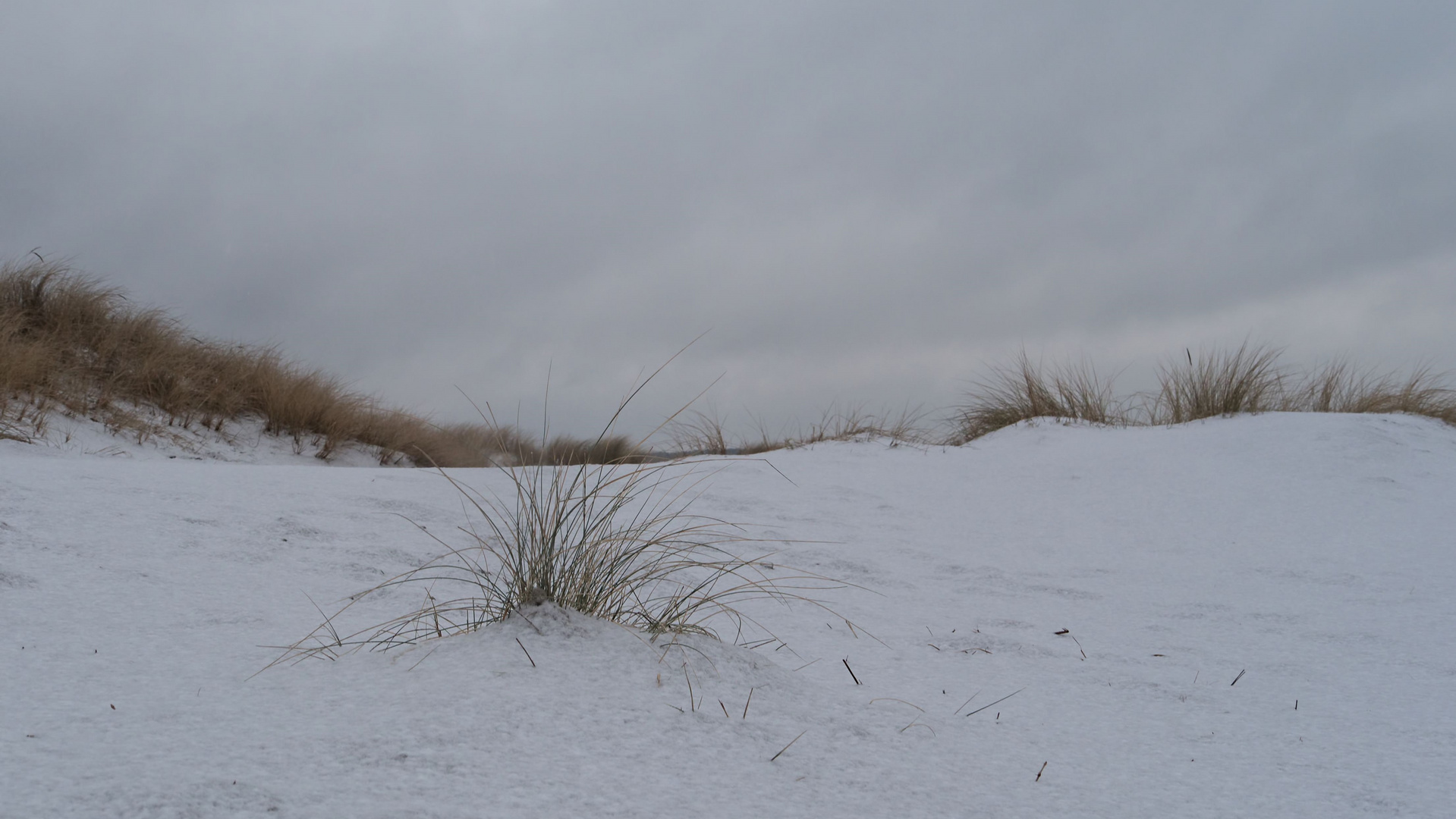 winterliche Düne