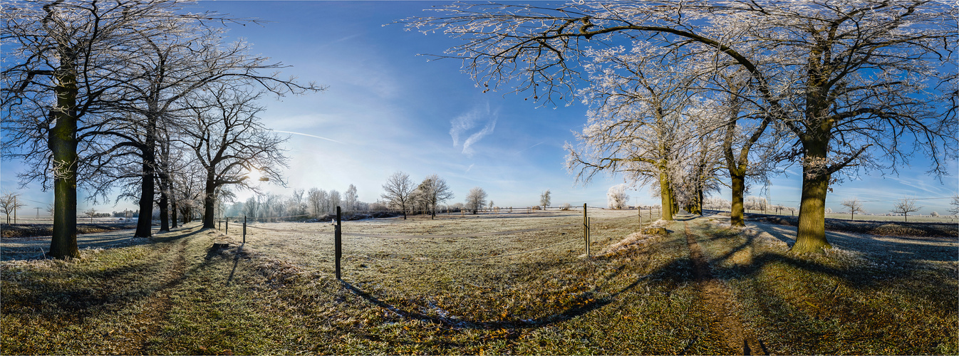 winterliche Eichenallee (360°-Ansicht)