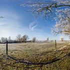 winterliche Eichenallee (360°-Ansicht)