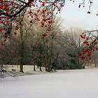 winterliche Eindrücke