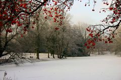 winterliche Eindrücke