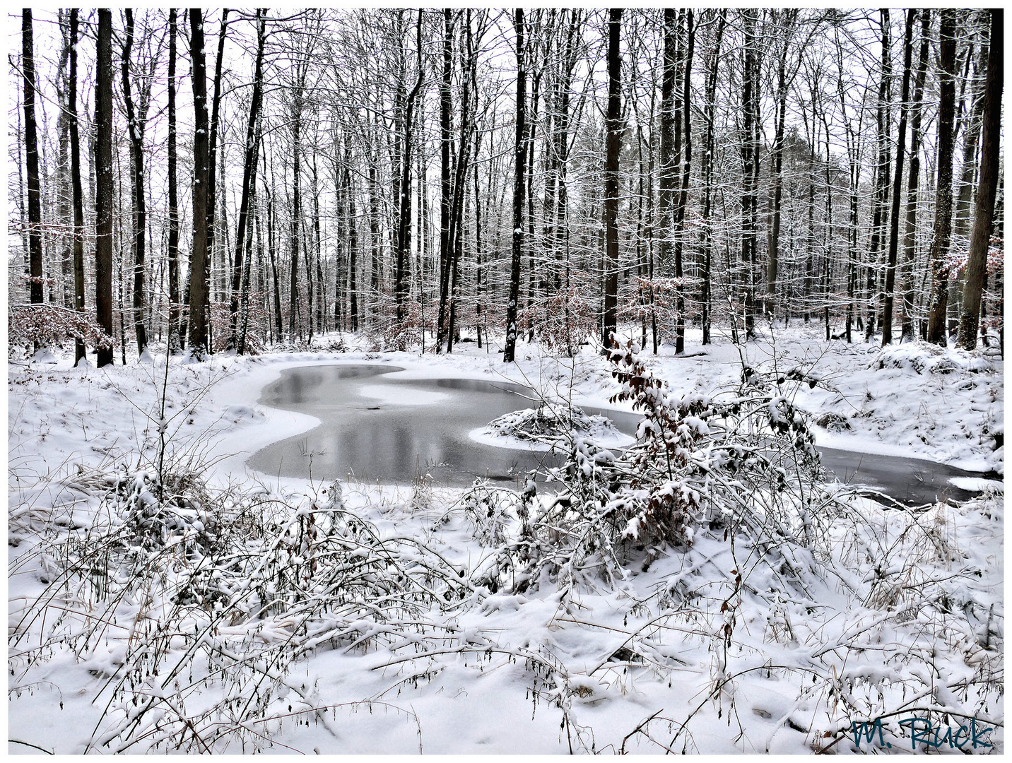 Winterliche Eindrücke aus den vergangenen Tagen .