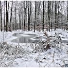 Winterliche Eindrücke aus den vergangenen Tagen .