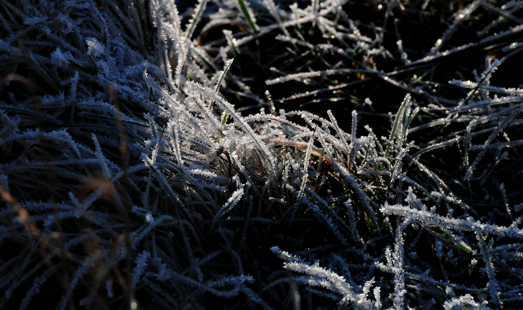 Winterliche Eindrücke vom Niederrhein