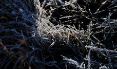 Winterliche Eindrücke vom Niederrhein