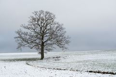 Winterliche Fankurve