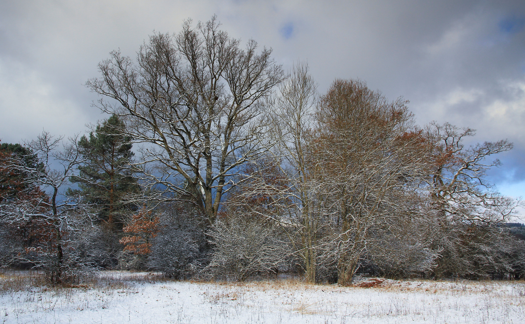 Winterliche Farben