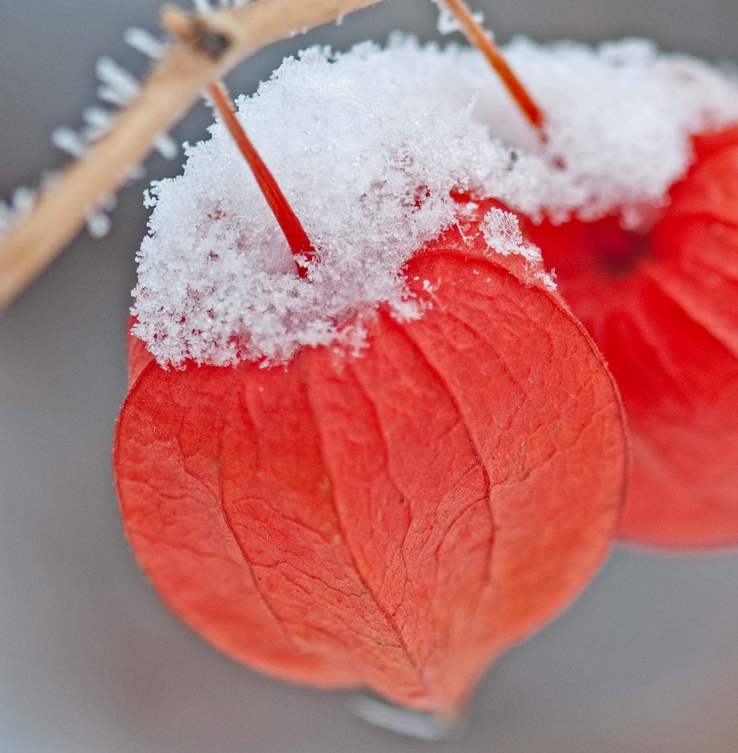 Winterliche Farbenfreude