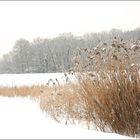 winterliche Farbtöne