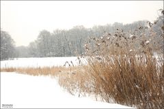 winterliche Farbtöne