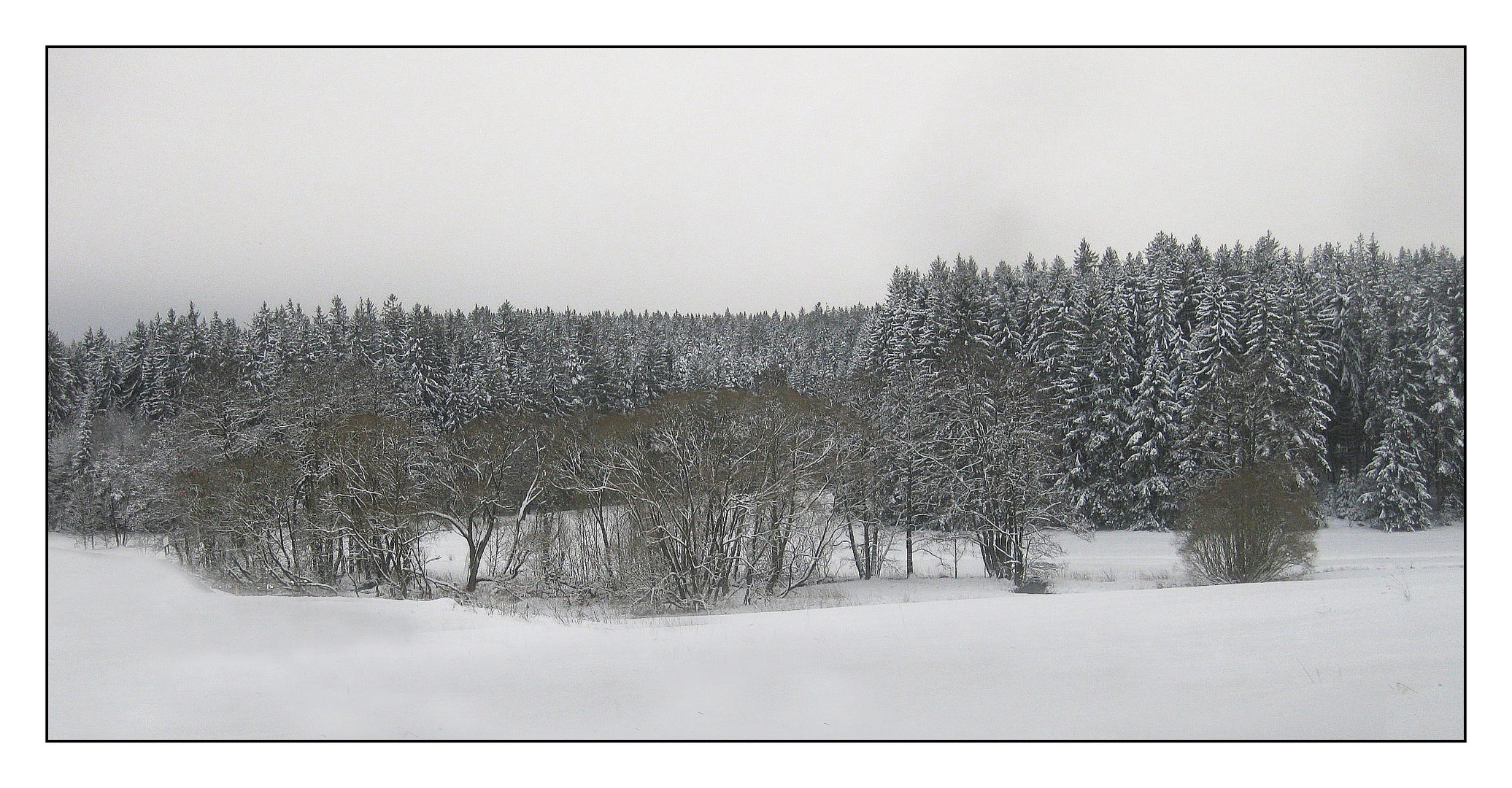 Winterliche Flußaulandschaft