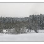 Winterliche Flußaulandschaft